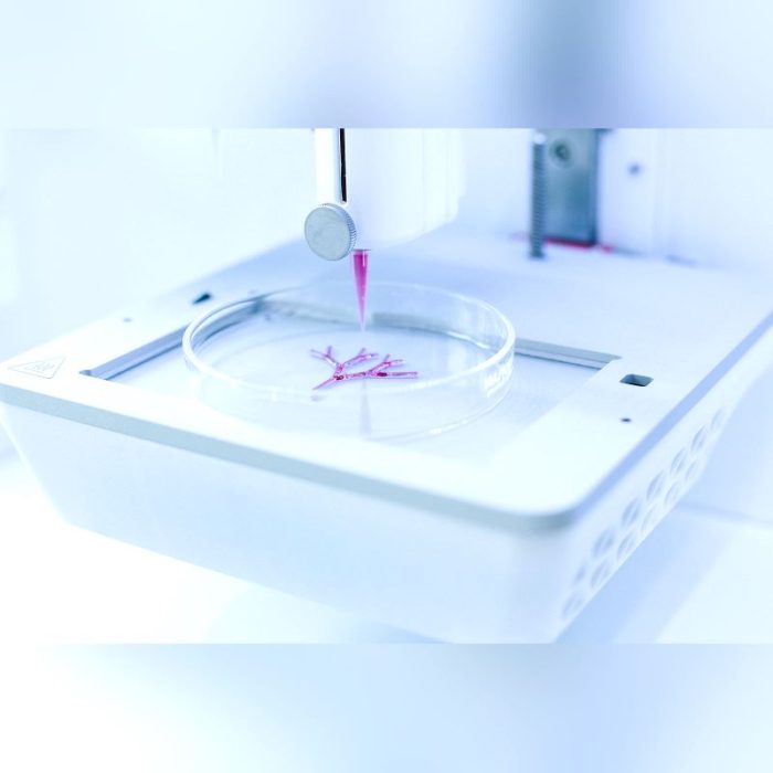 3D Bioprinter 2