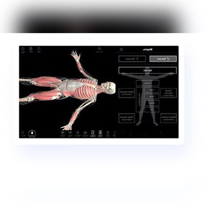 Anatomy Android Application 3