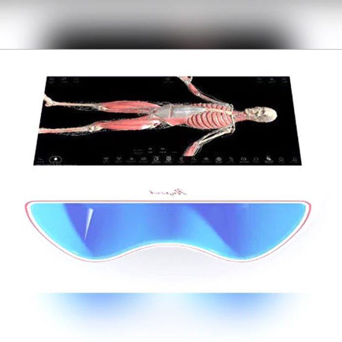 Anatomy Android Application 4