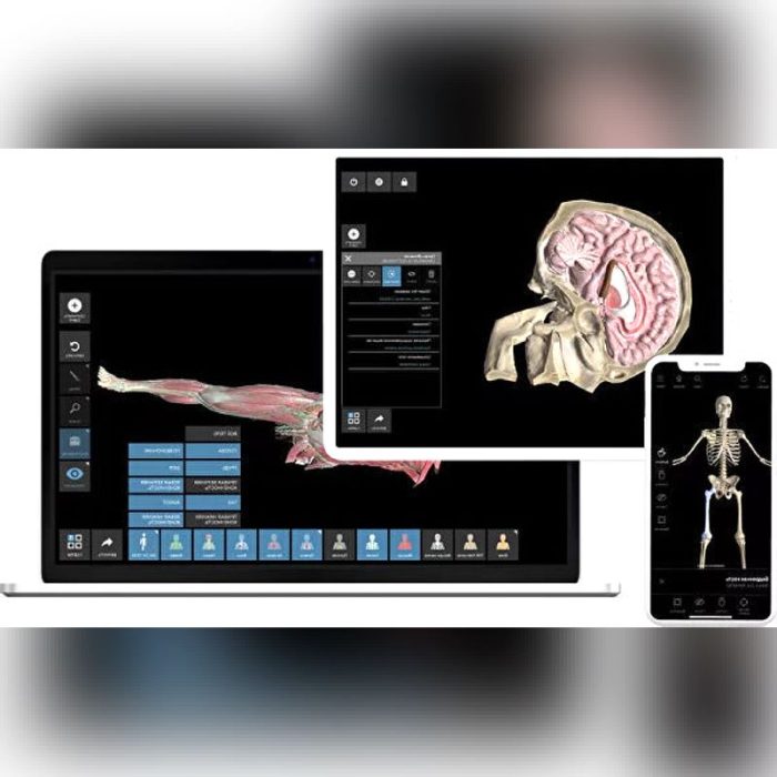 Anatomy Android Application