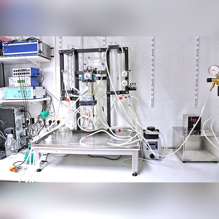 Animal Research Organ Perfusion System