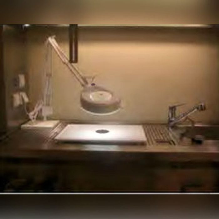 Autopsy Room Macroscopic Imaging Workstation 3
