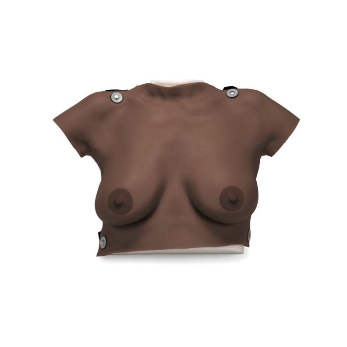 Breast Model 1