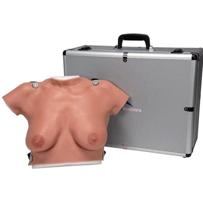Breast Model 3