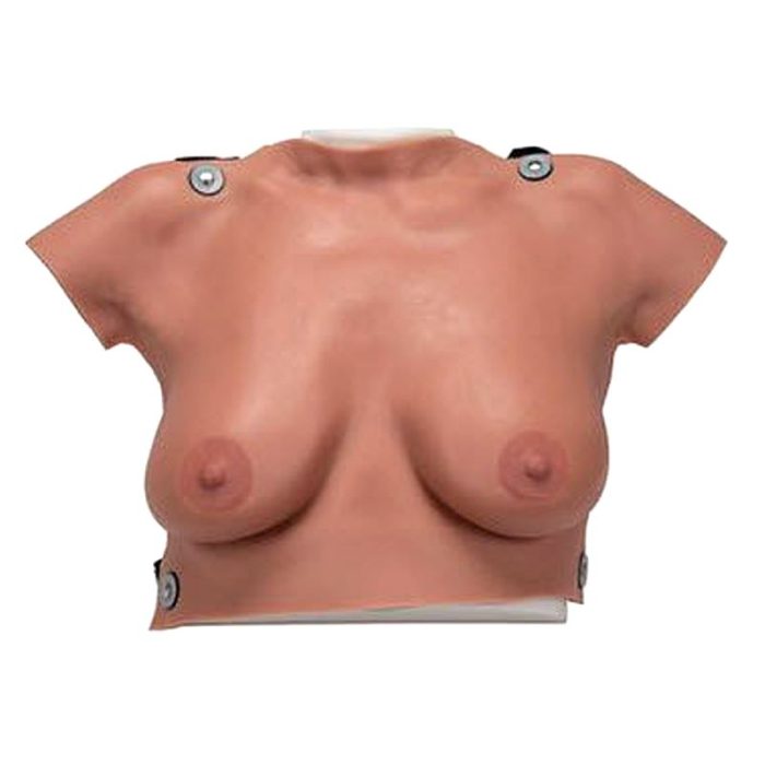 Breast Model 4