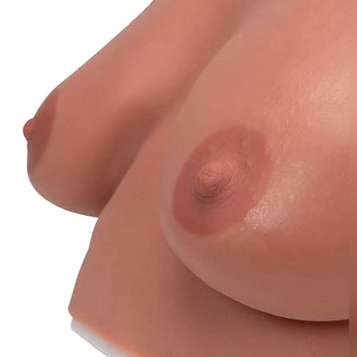 Breast Model 5