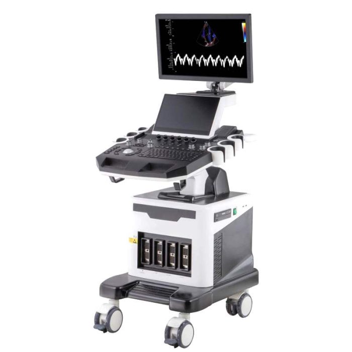 Cardiovascular Ultrasound Imaging System 1