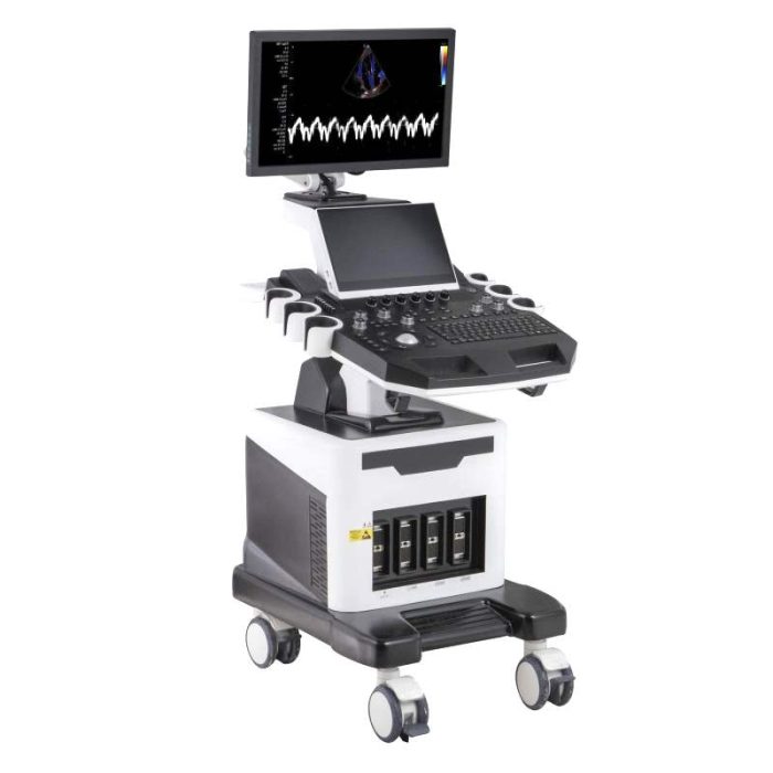 Cardiovascular Ultrasound Imaging System 4