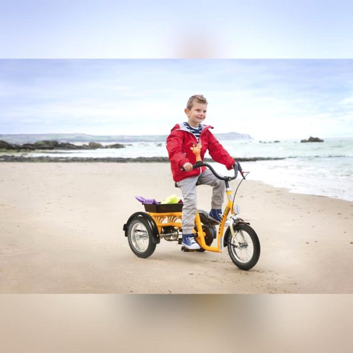 Children Adaptative Tricycle 3