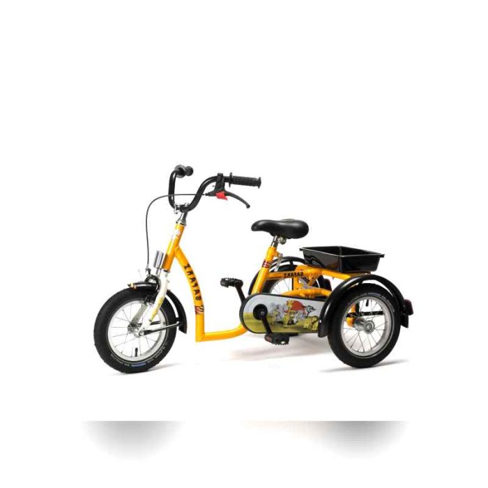 Children Adaptative Tricycle 4