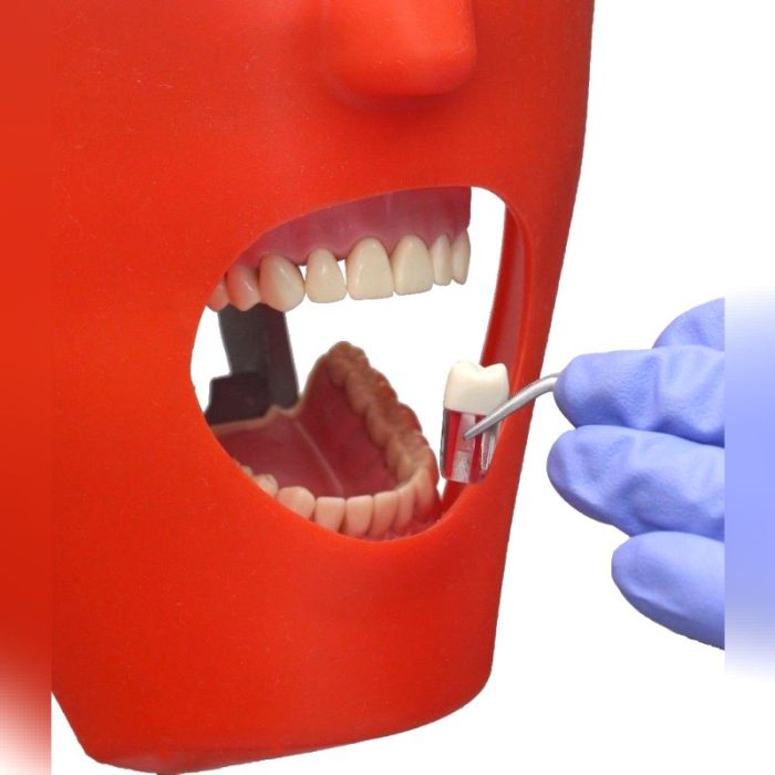 Dental Care Simulator 1