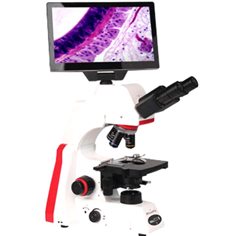 Durable Confocal Microscope Sale or Rent Near Me – Goldstar Medical ...