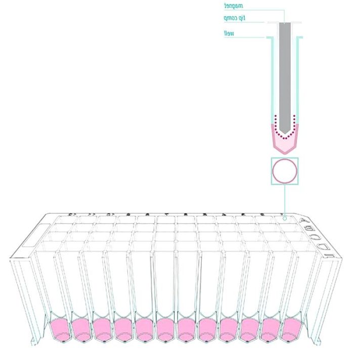 Dna Extraction Microplate 3