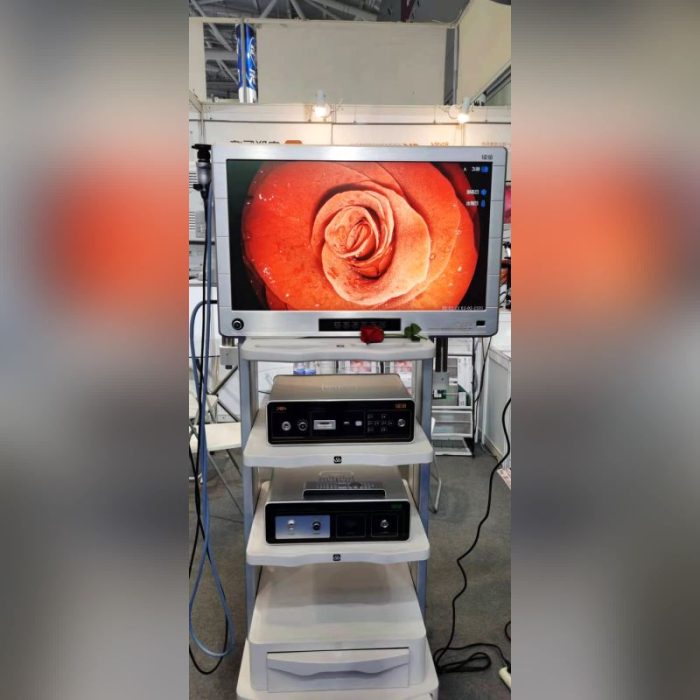 Endoscopy Video Processor 4