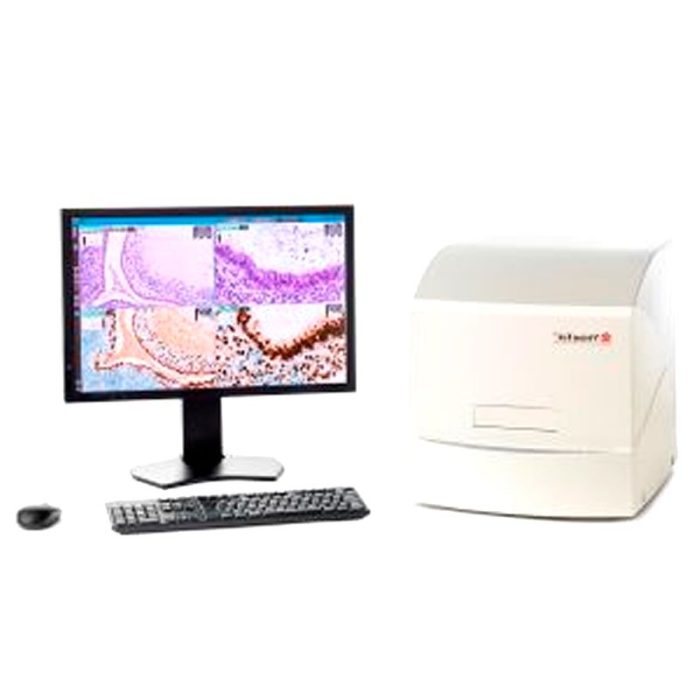Histopathology Macroscopic Imaging Workstation