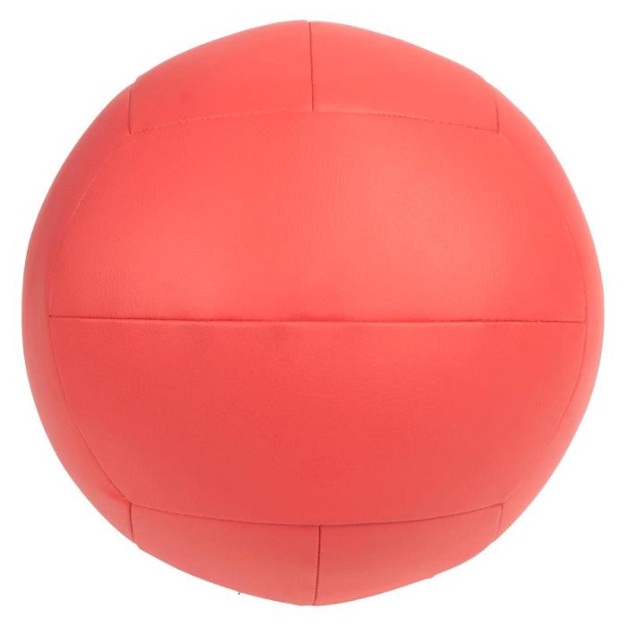 Large Size Medicine Ball 1