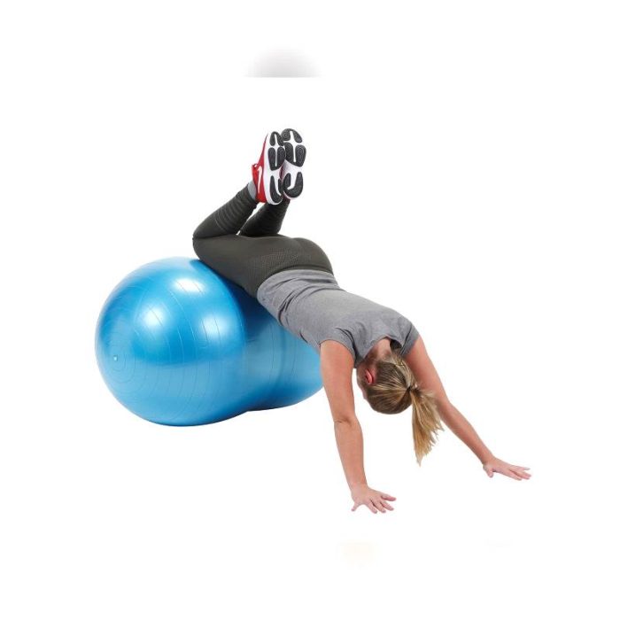 Large Size Physio Roll 3
