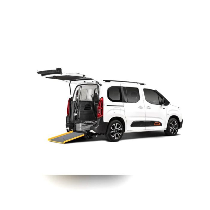 Minivan Wheelchair Accessible Vehicle 1