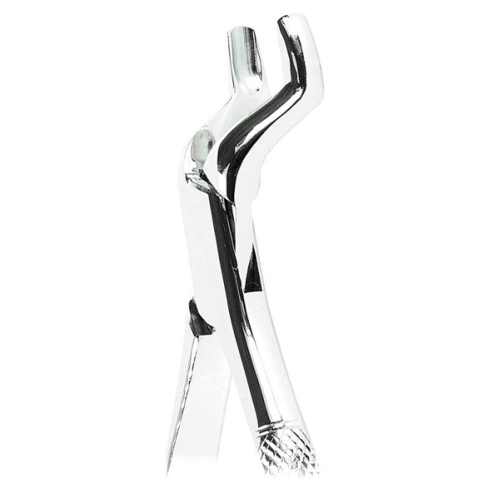Molar Extraction Forceps 1