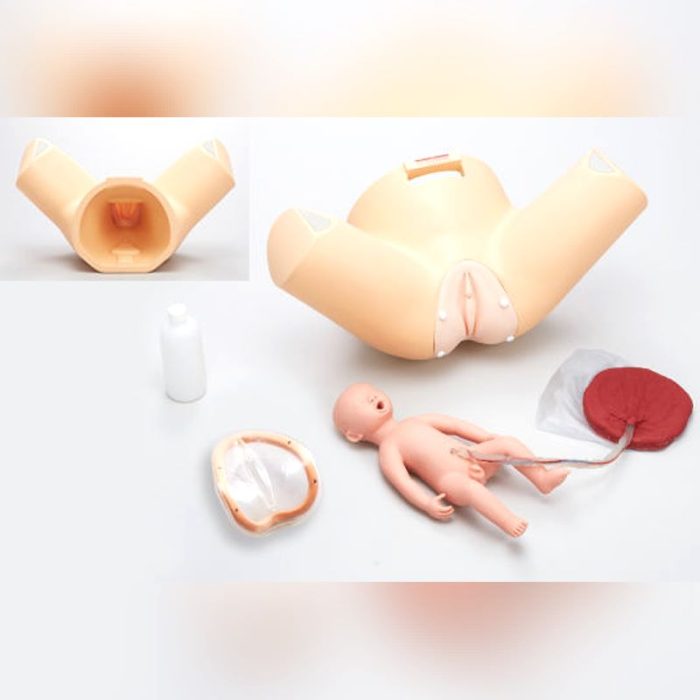 Obstetrical/Gynecological Patient Simulator
